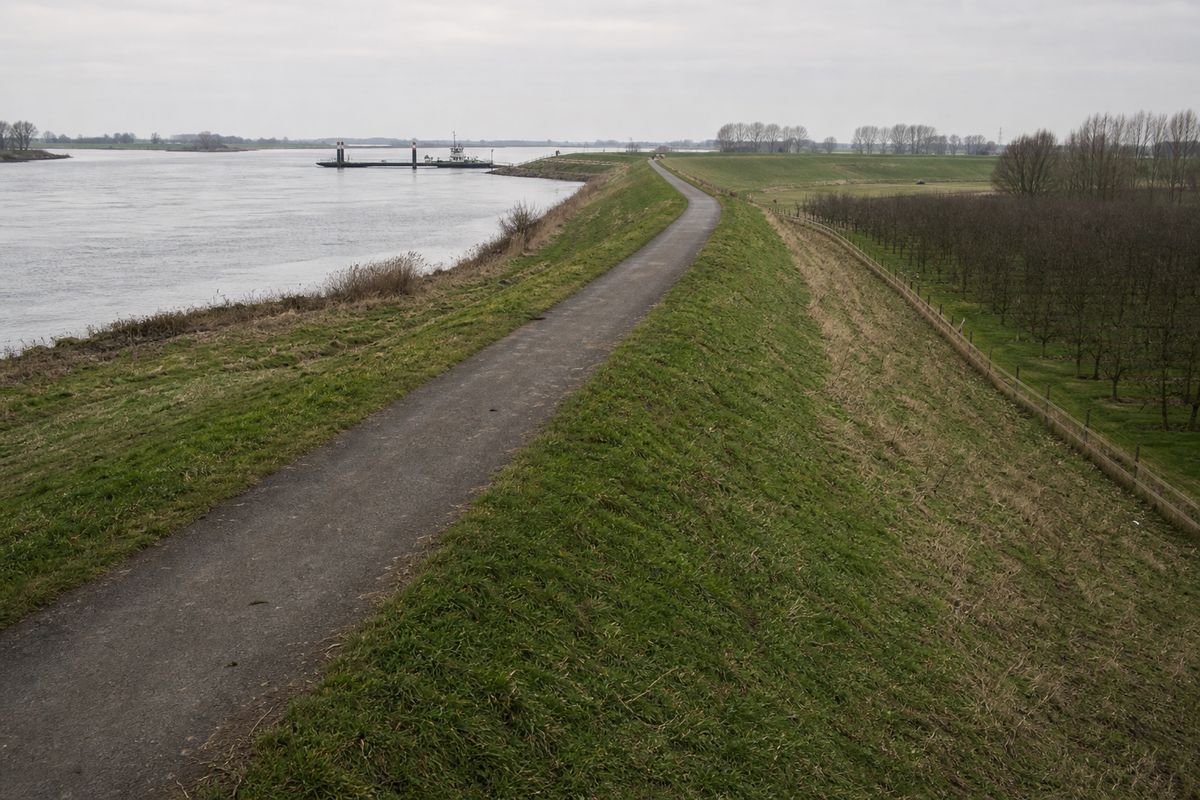 Grasdijk langs een rivier met een smal asfaltpad op de kruin, uiterwaard aan de ene en boomgaarden aan de andere kant.