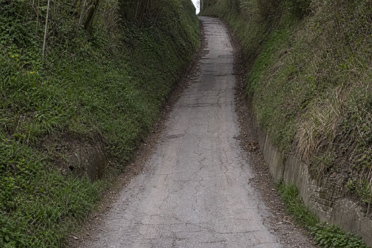 Steile smalle holle weg in het Zuid-Limburgse heuvelland, met hoge grazige bermen en heggen aan beide kanten.