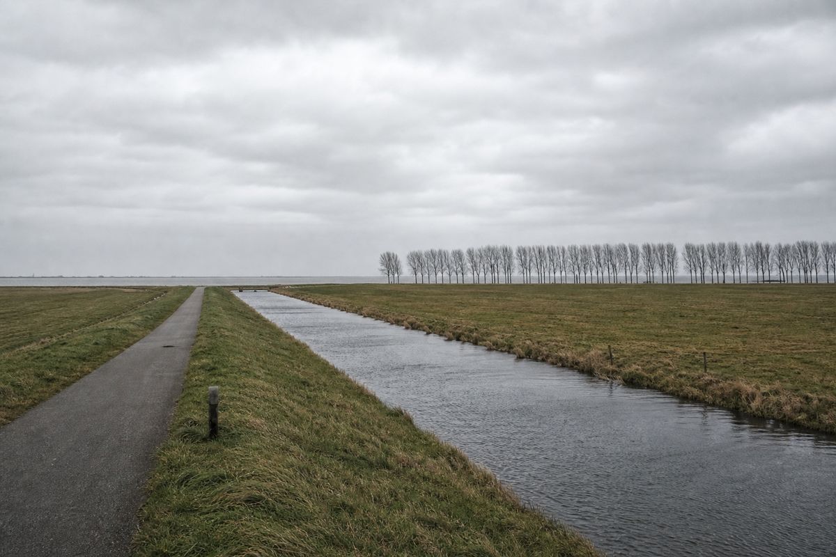 Wijde vlakke zeepolder onder een grijze lucht, met een fietspad langs een recht kanaal en populieren in de verte.