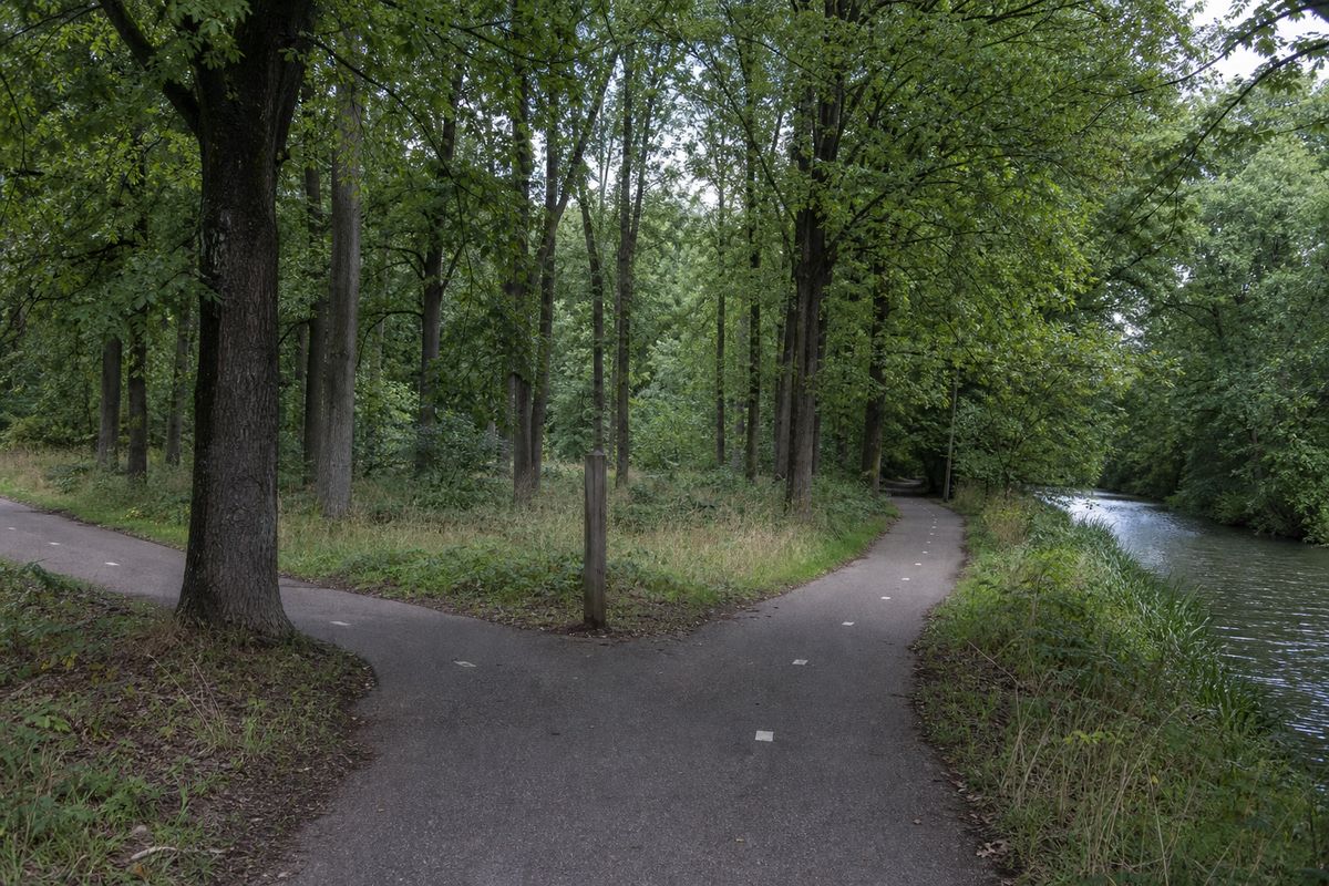 Splitsing van twee verharde fietspaden onder hoge beuken, met een onbeschreven houten paaltje op de kruising.