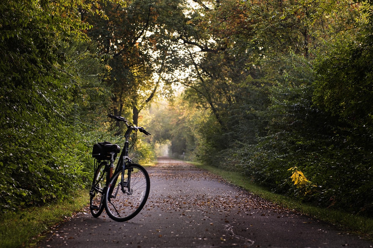 bike